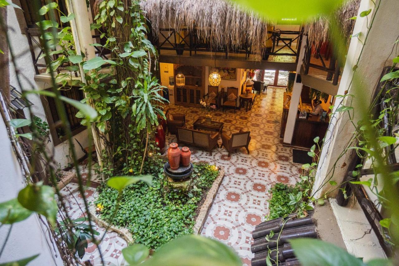 playa del carmen mexico posada mariposa boutique hotel 5th avenue